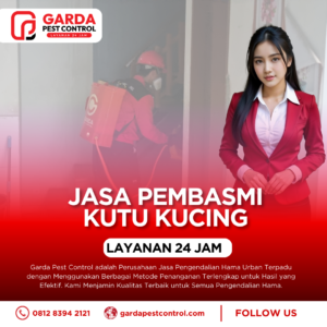 Jasa Pembasmi Kutu Kucing Terdekat di Bandung