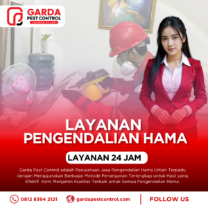 Jasa Pest Control Standar Higienitas untuk Gym, Fitness Center, dan Tempat Olahraga