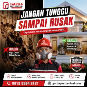 Jasa Anti Rayap Purwokerto