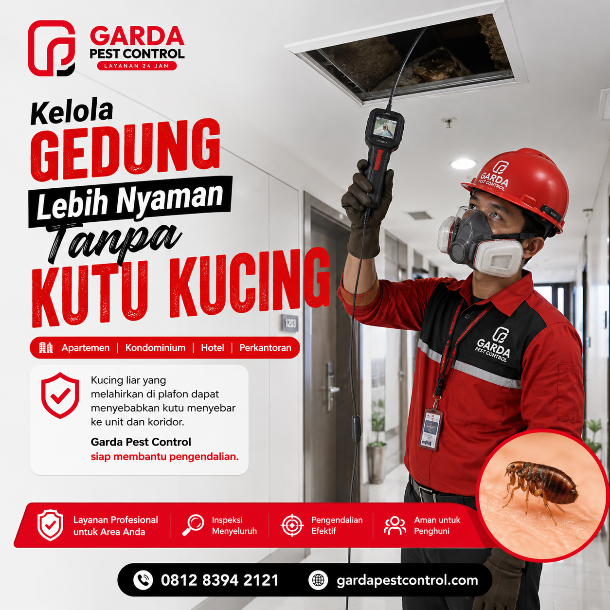 Jasa Pembasmi Kutu Kucing di Kota Yogyakarta