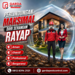 Jasa Pembasmi Rayap di Cirebon Kualitas No.1