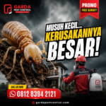 Jasa Pembasmi Rayap Cirebon Efektif untuk Hunian