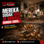 Jasa Semprot Rayap di Kota Cirebon Surveynya Gratis