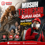 Anti Rayap di Cirebon : Solusi Pasti Terpercaya