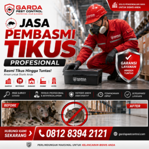 Biaya Jasa Pembasmi Tikus Solo: Solusi Cepat dan Efektif untuk Kediaman Anda
