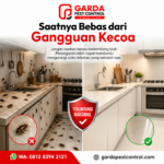 Jasa Basmi Kecoa di Jogja: Mengatasi Kecoak Secara Tuntas dengan Garda Pest Control