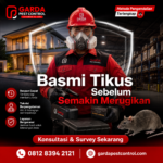 Jasa Pengusir Tikus di Lombok