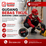Jasa Pembasmi Tikus Semarang Terdekat untuk Rumah dan Bisnis Anda