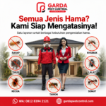 Jasa Pest Control Semarang: Solusi Pengendalian Hama Rumah dan Bisnis
