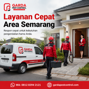 Jasa Pembasmi Kutu Kasur Semarang dengan Harga Terjangkau & Bergaransi